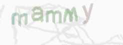 Изображение CAPTCHA для предотвращения спама 