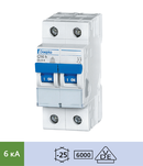 DLS 6h С... 2-полюсні