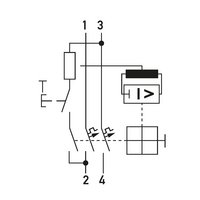 RCBO 2 C16/0,03/2-A - дифавтомат In 16 А