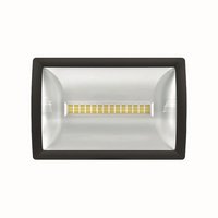 theLeda E20L BK - LED-прожектор 20 Вт